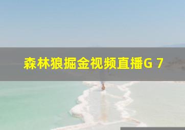 森林狼掘金视频直播G 7